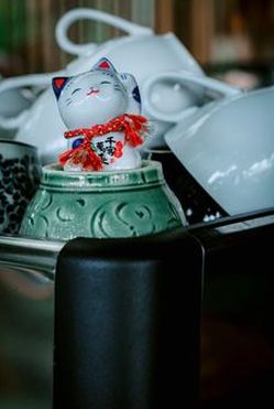  Sân chơi bốn mùa 